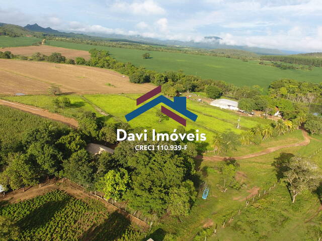 #DI75 - Fazenda para Venda em Vila Propício - GO - 3