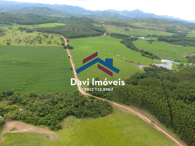 #DI75 - Fazenda para Venda em Vila Propício - GO - 1